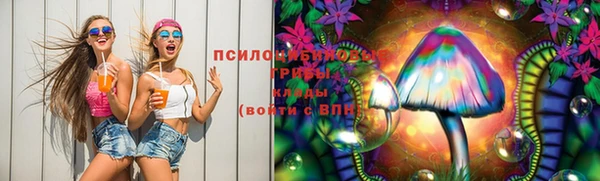 ГАЛЛЮЦИНОГЕННЫЕ ГРИБЫ Нея