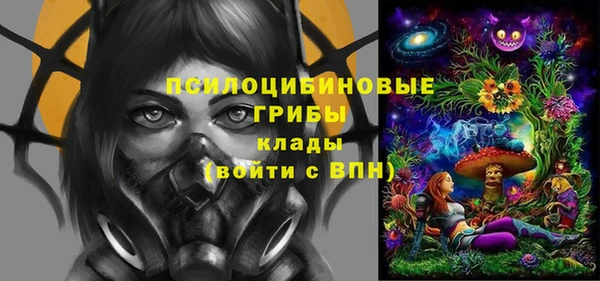 ГАЛЛЮЦИНОГЕННЫЕ ГРИБЫ Нея