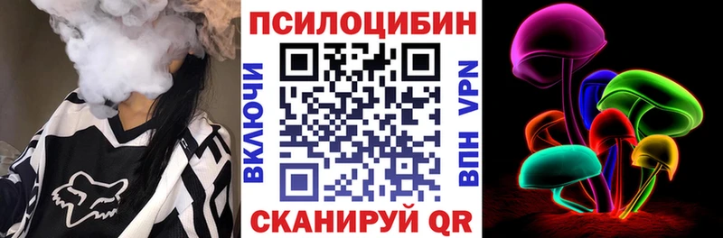нарко площадка формула  Кингисепп  Галлюциногенные грибы Psilocybe 
