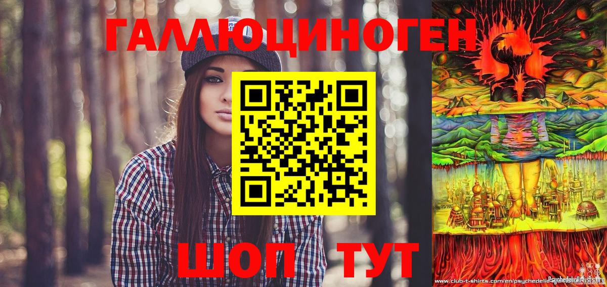 Галлюциногенные грибы Psilocybe  Вход с VPN  Кингисепп  Галлюциногенные грибы Psilocybe 