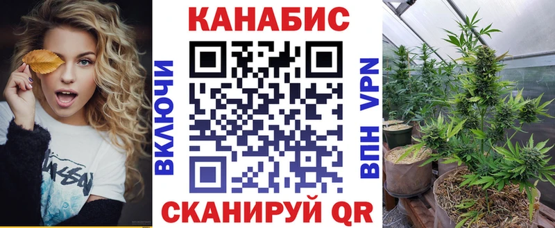 omg   Кингисепп  Бошки Шишки OG Kush 